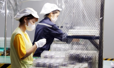  Bắc Ninh: Hỗ trợ pháp lý liên ngành cho doanh nghiệp nhỏ và vừa, hộ kinh doanh năm 2026